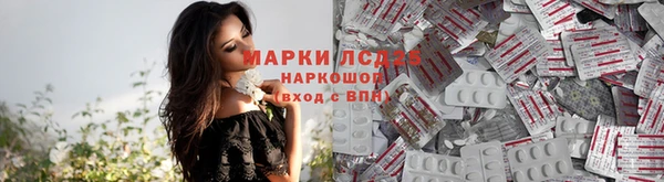 PSILOCYBIN Переславль-Залесский