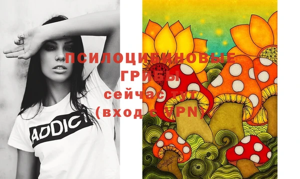 PSILOCYBIN Переславль-Залесский