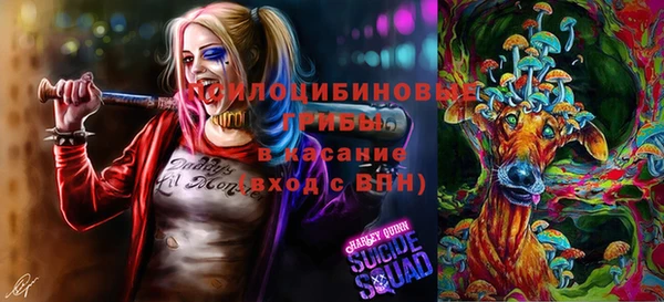 герыч Пересвет