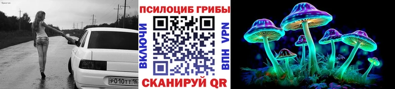 Псилоцибиновые грибы GOLDEN TEACHER  Сусуман 